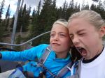 Catching Flies