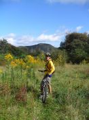 Navigator - navigating the "meadow of uncertainty".