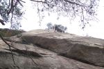 Robert rappels from the top of The Gift