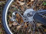 DSC04124.jpg