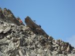 Negotiating rough terrain...
