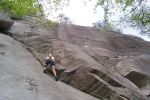 Scout on Fine Line